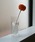 amabroiA}uj́uamabro DW VASE A}u _uEH[ x[X t[x[X ԕr Lit[x[XjvbNA