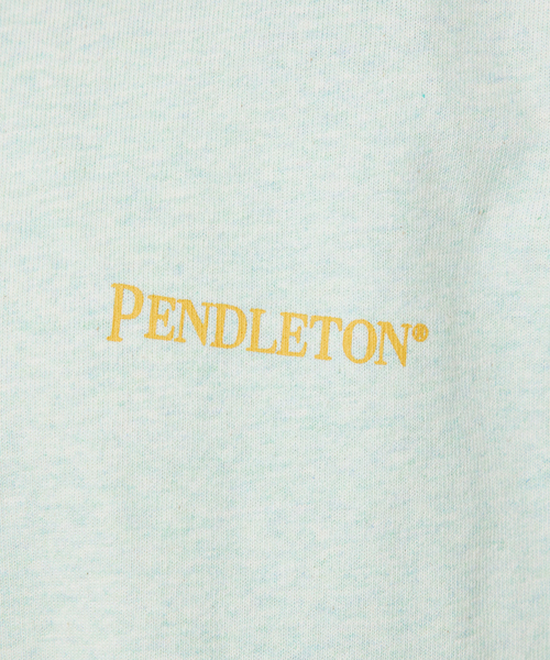 ABAHOUSE(アバハウス)の「【PENDLETON/ペンドルトン】 BACK PRINT Tシャツ / バックプリント半袖Tシャツ(Tシャツ/カットソー・メンズ・オフホワイト/グレー/ブラック/サーモンピンク/グリーン系その他・M/L)」の12枚目の写真
