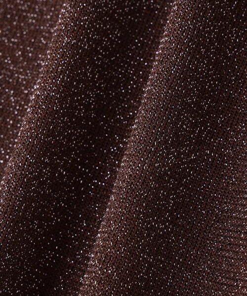 NATURAL BEAUTY BASIC（ナチュラルビューティーベーシック）の「◇スパークＶネックニットベスト（ベスト・レディース・ダークブラウン/グレー/オフホワイト・FREE）」の20枚目の写真