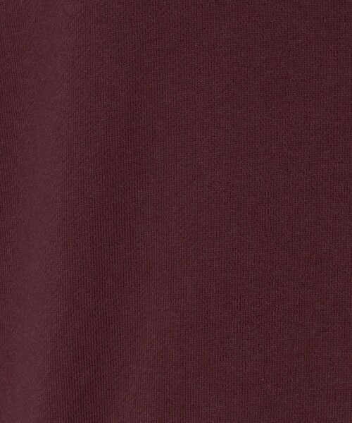 LOEFF（ロエフ）の「＜LOEFF＞コットン スウェット ショートスリーブ プルオーバー（スウェット・レディース・グレー系/ワイン・FREE）」の8枚目の写真