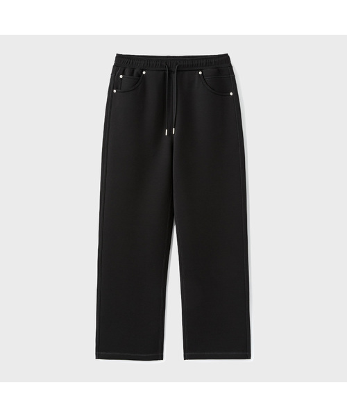 カツラ（桂）【現品発送】管理 70886 カツラ（桂）【現品発送】管理