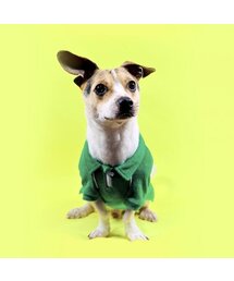 PETDERELLA PROJECT（ペッデレラプロジェクト）の「Tennis Terry T-Shirt_Green（ペットウェア）」