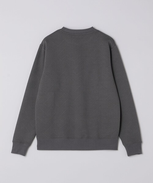 SHIPS(シップス)の「SHIPS: 膨れジャカード ロングスリーブ(Tシャツ/カットソー・メンズ・グレー/ホワイト/ダークグレー/ネイビー・SMALL/MEDIUM/LARGE/X-LARGE)」の21枚目の写真