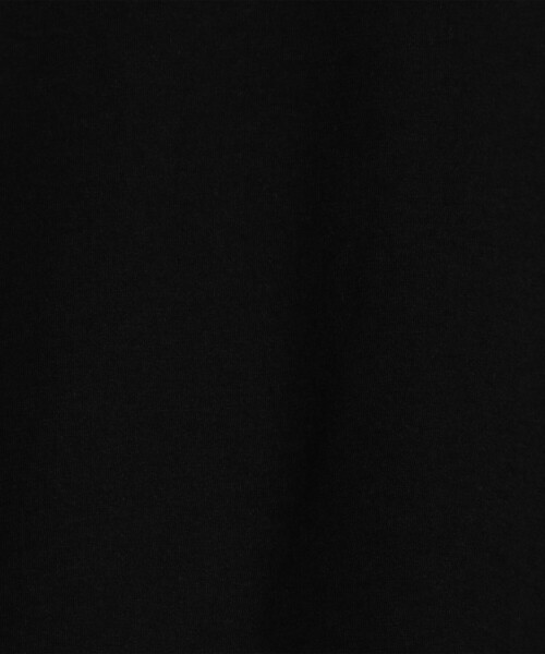 JAMES PERSE(ジェームスパース)の「リュクスジャージー クルーネック Tシャツ WELJ3263(Tシャツ/カットソー・レディース・ブラック/ホワイト・0/1)」の11枚目の写真