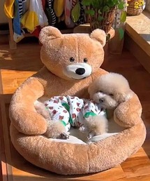 MANGROVE（マングローブ）の「TEDDY BEAR ペット用ベッド（ペット用クッション/マット）」