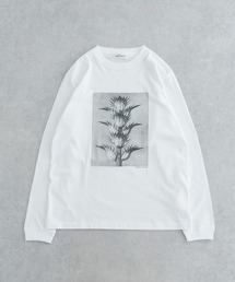 URBAN RESEARCH | Karl Blossfeldt　KARL BLOSSFELDT LONG-SLEEVE TEE(Tシャツ/カットソー)