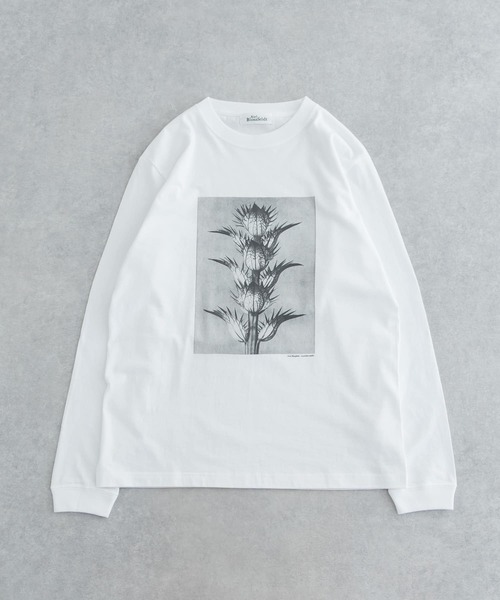 URBAN RESEARCH（アーバンリサーチ）の「Karl Blossfeldt　KARL BLOSSFELDT LONG-SLEEVE TEE（Tシャツ/カットソー・メンズ・その他2/その他1・LARGE/MEDIUM/X-LARGE）」の2枚目の写真