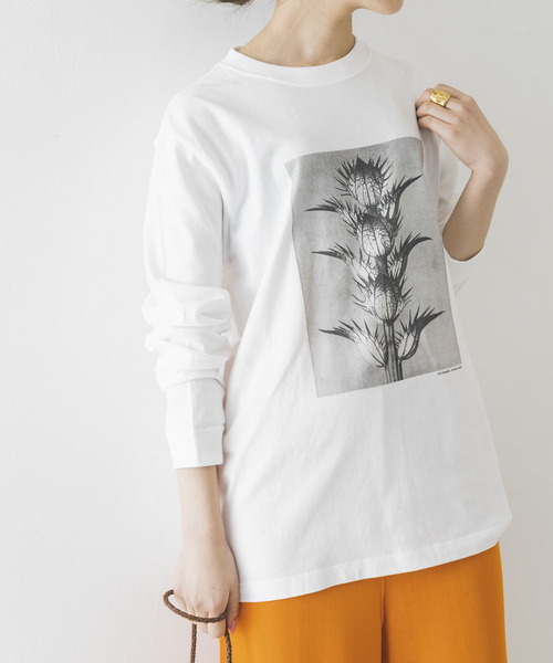 URBAN RESEARCH（アーバンリサーチ）の「Karl Blossfeldt　KARL BLOSSFELDT LONG-SLEEVE TEE（Tシャツ/カットソー・メンズ・その他2/その他1・LARGE/MEDIUM/X-LARGE）」の11枚目の写真
