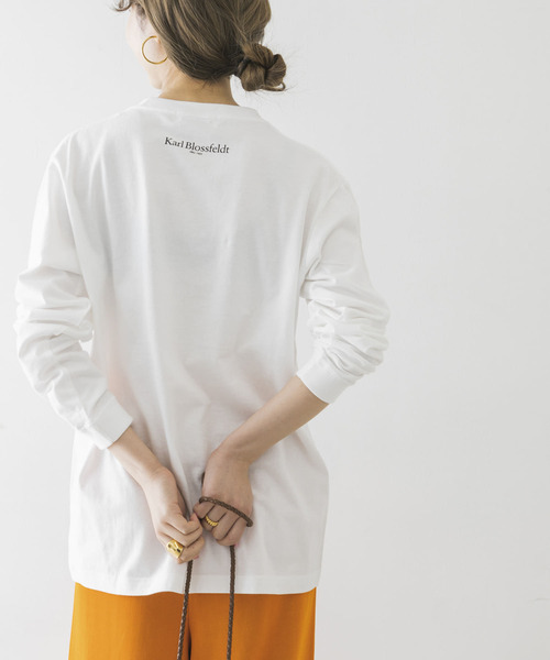 URBAN RESEARCH（アーバンリサーチ）の「Karl Blossfeldt　KARL BLOSSFELDT LONG-SLEEVE TEE（Tシャツ/カットソー・メンズ・その他2/その他1・LARGE/MEDIUM/X-LARGE）」の8枚目の写真