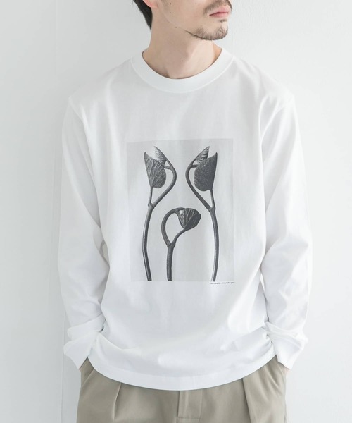 URBAN RESEARCH（アーバンリサーチ）の「Karl Blossfeldt　KARL BLOSSFELDT LONG-SLEEVE TEE（Tシャツ/カットソー・メンズ・その他2/その他1・LARGE/MEDIUM/X-LARGE）」の21枚目の写真