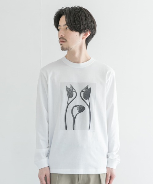 URBAN RESEARCH（アーバンリサーチ）の「Karl Blossfeldt　KARL BLOSSFELDT LONG-SLEEVE TEE（Tシャツ/カットソー・メンズ・その他2/その他1・LARGE/MEDIUM/X-LARGE）」の5枚目の写真
