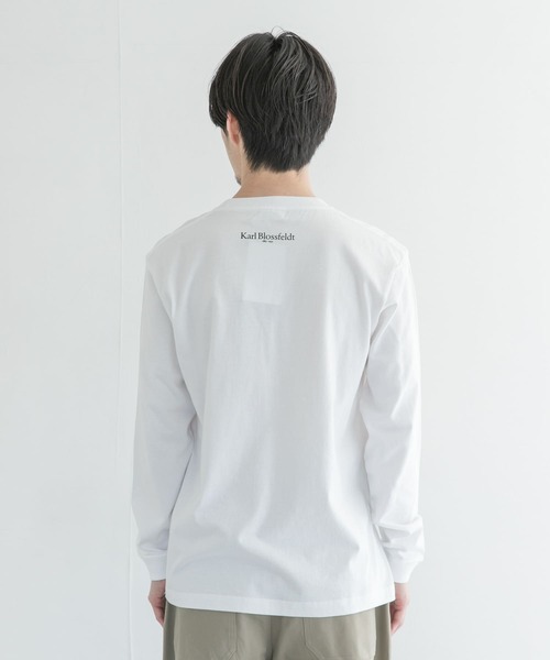 URBAN RESEARCH（アーバンリサーチ）の「Karl Blossfeldt　KARL BLOSSFELDT LONG-SLEEVE TEE（Tシャツ/カットソー・メンズ・その他2/その他1・LARGE/MEDIUM/X-LARGE）」の9枚目の写真