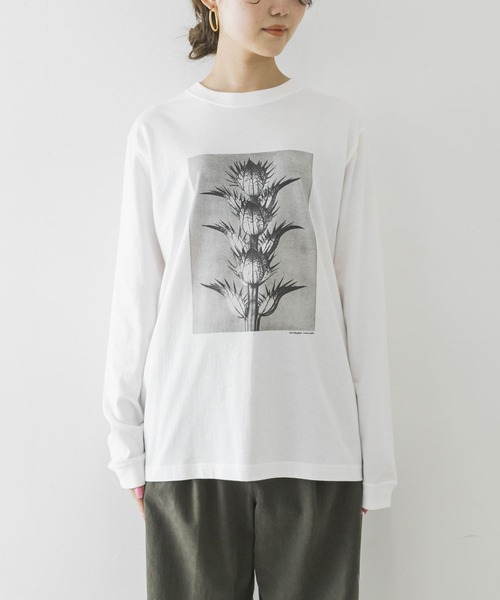 URBAN RESEARCH（アーバンリサーチ）の「Karl Blossfeldt　KARL BLOSSFELDT LONG-SLEEVE TEE（Tシャツ/カットソー・メンズ・その他2/その他1・LARGE/MEDIUM/X-LARGE）」の17枚目の写真