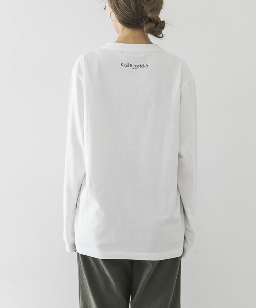 URBAN RESEARCH（アーバンリサーチ）の「Karl Blossfeldt　KARL BLOSSFELDT LONG-SLEEVE TEE（Tシャツ/カットソー・メンズ・その他2/その他1・LARGE/MEDIUM/X-LARGE）」の22枚目の写真