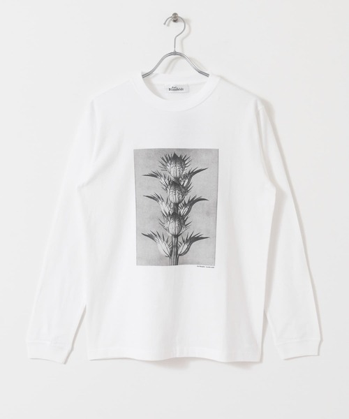 URBAN RESEARCH（アーバンリサーチ）の「Karl Blossfeldt　KARL BLOSSFELDT LONG-SLEEVE TEE（Tシャツ/カットソー・メンズ・その他2/その他1・LARGE/MEDIUM/X-LARGE）」の15枚目の写真