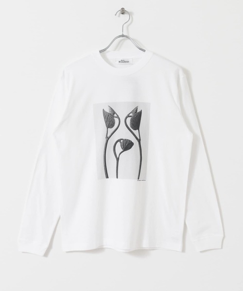 URBAN RESEARCH（アーバンリサーチ）の「Karl Blossfeldt　KARL BLOSSFELDT LONG-SLEEVE TEE（Tシャツ/カットソー・メンズ・その他2/その他1・LARGE/MEDIUM/X-LARGE）」の20枚目の写真