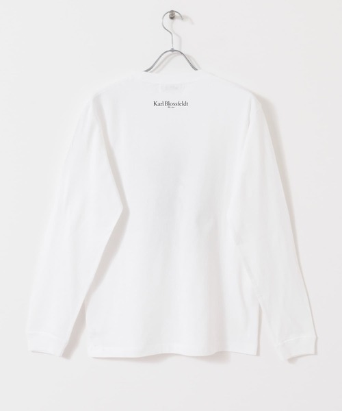 URBAN RESEARCH（アーバンリサーチ）の「Karl Blossfeldt　KARL BLOSSFELDT LONG-SLEEVE TEE（Tシャツ/カットソー・メンズ・その他2/その他1・LARGE/MEDIUM/X-LARGE）」の19枚目の写真