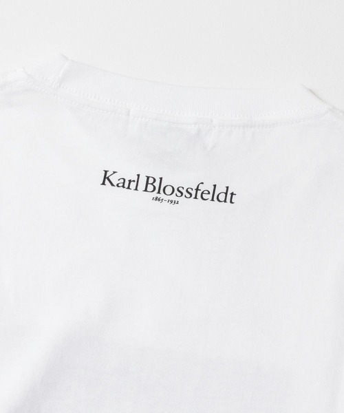 URBAN RESEARCH（アーバンリサーチ）の「Karl Blossfeldt　KARL BLOSSFELDT LONG-SLEEVE TEE（Tシャツ/カットソー・メンズ・その他2/その他1・LARGE/MEDIUM/X-LARGE）」の10枚目の写真