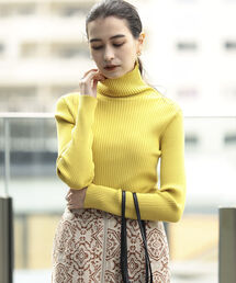 Ray BEAMS | Ray BEAMS / 14G リブ タートル ニット(ニット/セーター)