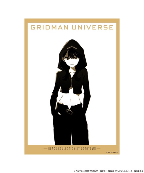 グリッドマンユニバースBLACK COLLECTION アクリルスタンド GRIDMAN UNIVERSE BLACK COLLECTION by ZOZOTOWN アクリル