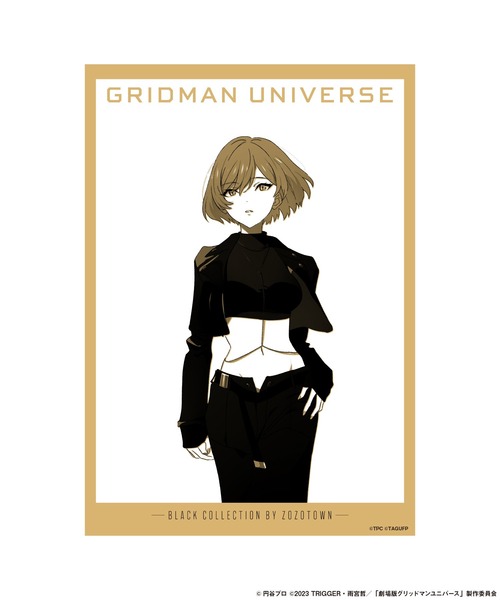 グリッドマンユニバースBLACK COLLECTION アクリルスタンド GRIDMAN UNIVERSE BLACK COLLECTION by ZOZOTOWN 巨大アクリル