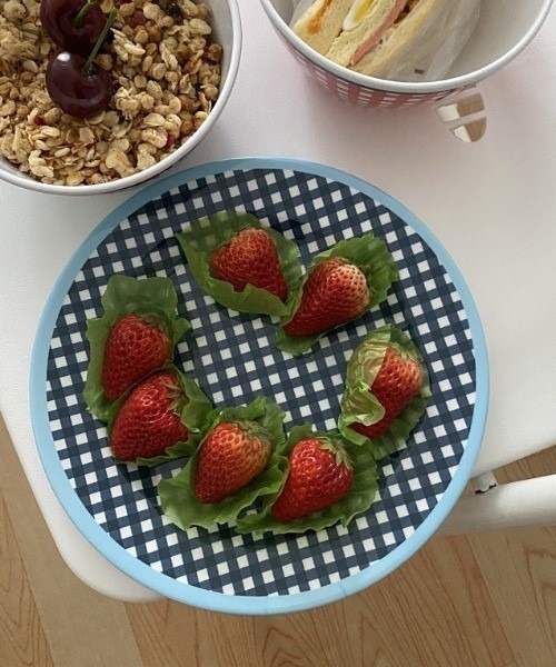 レトロチェックデザインプレート（食器）｜Made in I（メイドインアイ