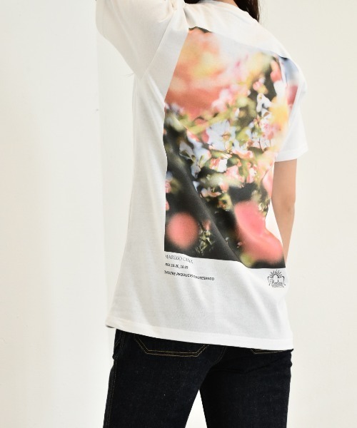 THEATRE PRODUCTS(シアタープロダクツ)の「限定展開【THEATRE PRODUCTS×Mariko Ohyaコラボ】Pink Rose Tシャツ(Tシャツ/カットソー・レディース・ホワイト/アイボリー・FREE)」の11枚目の写真