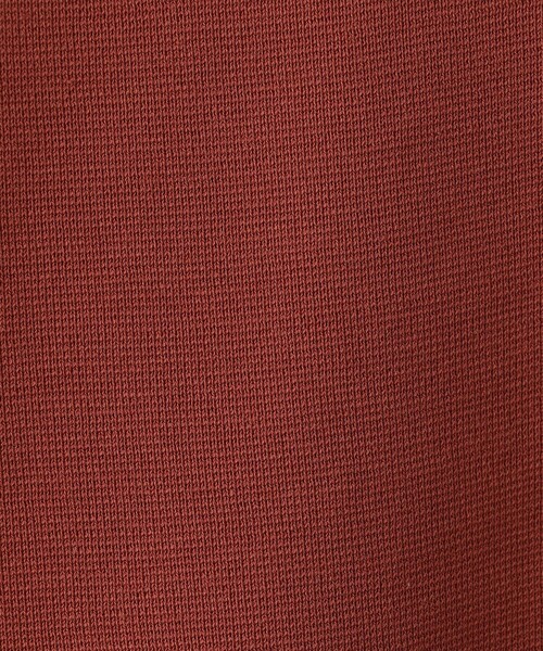 BEAUTY&YOUTH UNITED ARROWS（ビューティーアンドユースユナイテッドアローズ）の「モダン ミラノリブ Vネック カーディガン ‐ウォッシャブル‐（カーディガン/ボレロ・メンズ・オレンジ系その他/グレー/ブラック・S/M/L/XL）」の19枚目の写真