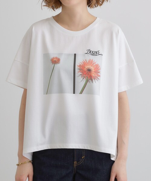 grove（グローブ）の「【コラボITEM】DILIGENCE PARLOUR フォトフレアTシャツ（Tシャツ/カットソー・レディース・ホワイト系3/オフホワイト・02/03/01/04/05）」の11枚目の写真