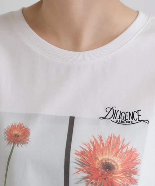 grove（グローブ）の「【コラボITEM】DILIGENCE PARLOUR フォトフレアTシャツ（Tシャツ/カットソー・レディース・ホワイト系3/オフホワイト・02/03/01/04/05）」の8枚目の写真