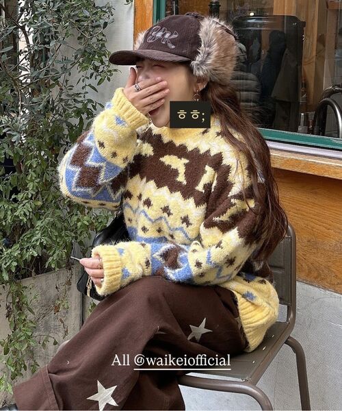 WaiKei(ワイケイ)の「ドルフィンヘアリーグラフィックニットイエロー(ニット/セーター・レディース・その他・1/2)」の13枚目の写真