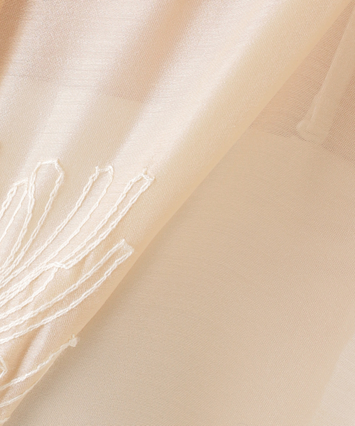 JOURNAL STANDARD（ジャーナルスタンダード）の「《追加》シアーレースビッグシャツ（シャツ/ブラウス・レディース・ブラック/ホワイト/ベージュ・FREE）」の14枚目の写真