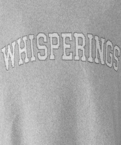 studio CLIP（スタディオクリップ）の「12ゲージダブルジャガードロゴワイドプルオーバー（ニット/セーター・レディース・ネイビー/ライトベージュ/ライトグレー・FREE）」の4枚目の写真