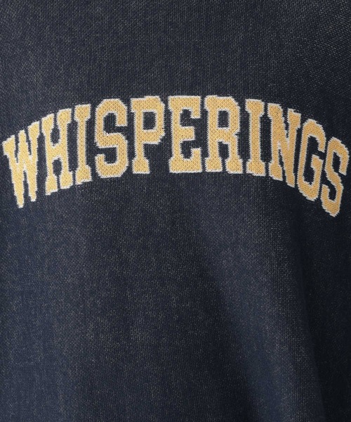 studio CLIP（スタディオクリップ）の「12ゲージダブルジャガードロゴワイドプルオーバー（ニット/セーター・レディース・ネイビー/ライトベージュ/ライトグレー・FREE）」の6枚目の写真