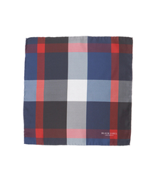 BLACK LABEL CRESTBRIDGE | クレストブリッジチェック　チーフ(ネクタイ)