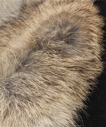 goa（ゴア）の「ラビットファーベルト（ベルト）」 - WEAR