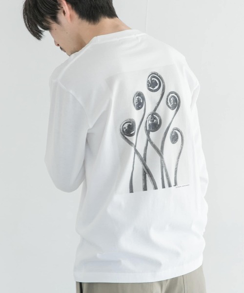 URBAN RESEARCH（アーバンリサーチ）の「Karl Blossfeldt　KARL BLOSSFELDT LONG-SLEEVE TEE（Tシャツ/カットソー・メンズ・その他1/その他2・MEDIUM/X-LARGE/LARGE）」の13枚目の写真