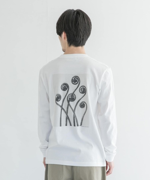 URBAN RESEARCH（アーバンリサーチ）の「Karl Blossfeldt　KARL BLOSSFELDT LONG-SLEEVE TEE（Tシャツ/カットソー・メンズ・その他1/その他2・MEDIUM/X-LARGE/LARGE）」の11枚目の写真