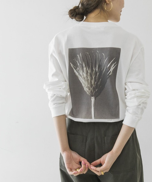 URBAN RESEARCH（アーバンリサーチ）の「Karl Blossfeldt　KARL BLOSSFELDT LONG-SLEEVE TEE（Tシャツ/カットソー・メンズ・その他1/その他2・MEDIUM/X-LARGE/LARGE）」の16枚目の写真