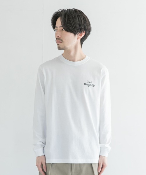 URBAN RESEARCH（アーバンリサーチ）の「Karl Blossfeldt　KARL BLOSSFELDT LONG-SLEEVE TEE（Tシャツ/カットソー・メンズ・その他1/その他2・MEDIUM/X-LARGE/LARGE）」の9枚目の写真