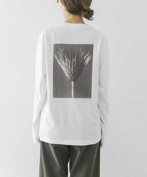 URBAN RESEARCH（アーバンリサーチ）の「Karl Blossfeldt　KARL BLOSSFELDT LONG-SLEEVE TEE（Tシャツ/カットソー・メンズ・その他1/その他2・MEDIUM/X-LARGE/LARGE）」の19枚目の写真