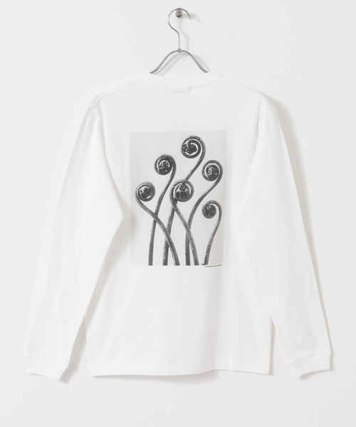 URBAN RESEARCH（アーバンリサーチ）の「Karl Blossfeldt　KARL BLOSSFELDT LONG-SLEEVE TEE（Tシャツ/カットソー・メンズ・その他1/その他2・MEDIUM/X-LARGE/LARGE）」の8枚目の写真