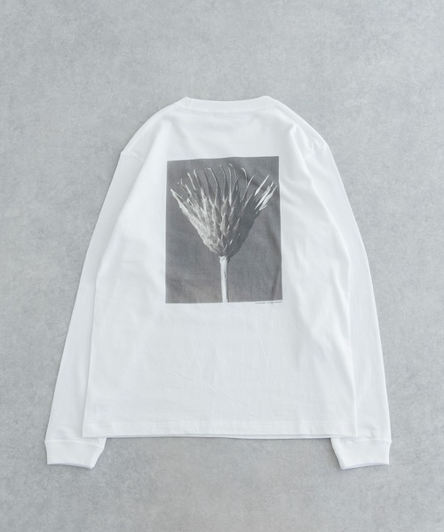 URBAN RESEARCH（アーバンリサーチ）の「Karl Blossfeldt　KARL BLOSSFELDT LONG-SLEEVE TEE（Tシャツ/カットソー・メンズ・その他1/その他2・MEDIUM/X-LARGE/LARGE）」の2枚目の写真