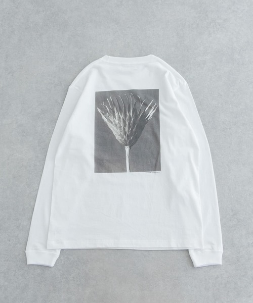 URBAN RESEARCH（アーバンリサーチ）の「Karl Blossfeldt　KARL BLOSSFELDT LONG-SLEEVE TEE（Tシャツ/カットソー・メンズ・その他1/その他2・MEDIUM/X-LARGE/LARGE）」の20枚目の写真