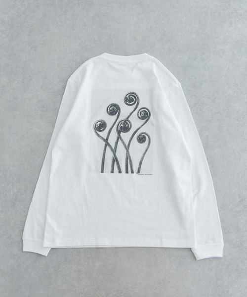 URBAN RESEARCH（アーバンリサーチ）の「Karl Blossfeldt　KARL BLOSSFELDT LONG-SLEEVE TEE（Tシャツ/カットソー・メンズ・その他1/その他2・MEDIUM/X-LARGE/LARGE）」の21枚目の写真