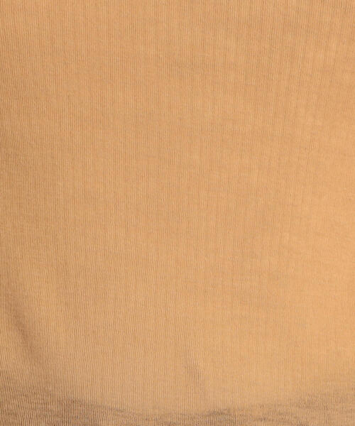 EDITION(エディション)の「80T/CFINE RIB コットンポリエステル ハイネックプルオーバー(Tシャツ/カットソー・レディース・ホワイト/ブラック/キャメル・FREE)」の9枚目の写真