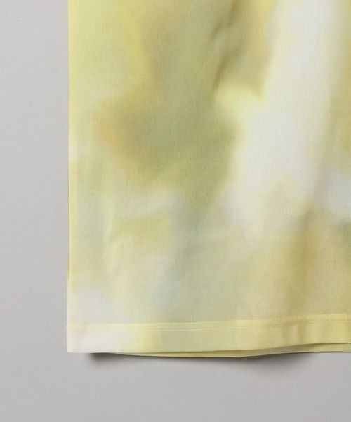 JEANASIS（ジーナシス）の「エスパンディガラシアーT/287012（Tシャツ/カットソー・レディース・グリーン系その他/イエロー系その他/イエロー系その他2・FREE）」の9枚目の写真