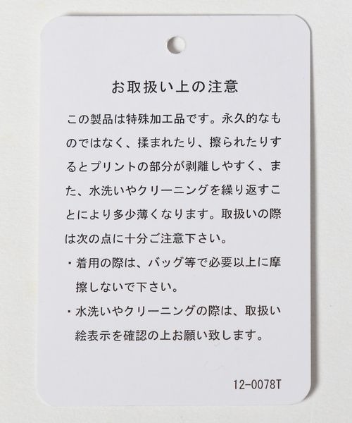 JEANASIS（ジーナシス）の「エスパンディガラシアーT/287012（Tシャツ/カットソー・レディース・グリーン系その他/イエロー系その他/イエロー系その他2・FREE）」の13枚目の写真