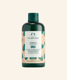 THE BODY SHOP(UE{fBVbv)SB CeXyA Vv[ 250mLiFVAj(Vv[)