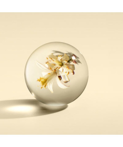 MOLTON BROWN（モルトンブラウン）の「オレンジ＆ベルガモット ハンドウォッシュ 300ml｜モルトンブラウン MOLTON BROWN（ハンドソープ・レディース・シトラス・FREE）」の3枚目の写真